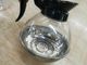 Cookwares de cristal del acero inoxidable de la caldera de la jarra inferior de acero del café de Sunnex
